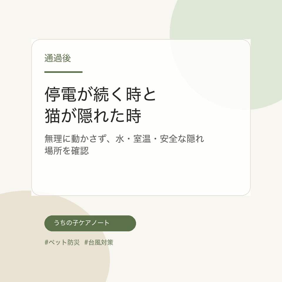 通過後の台風ペット防災投稿画像