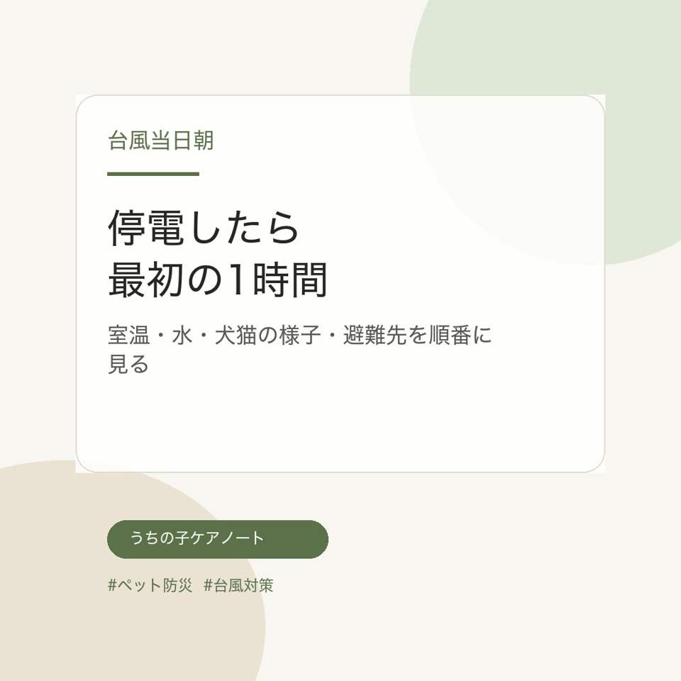 当日朝の台風ペット防災投稿画像